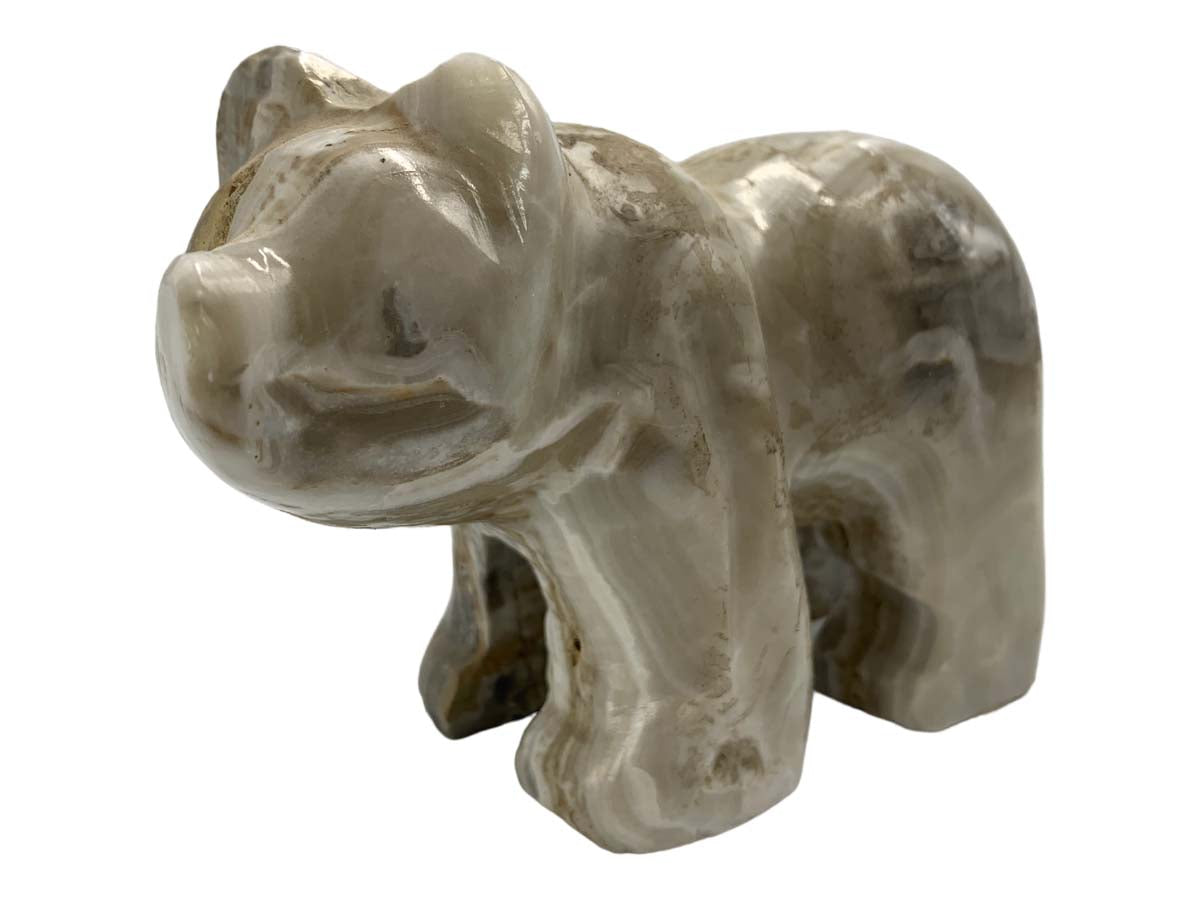 Gray Onyx Grizzly Bear