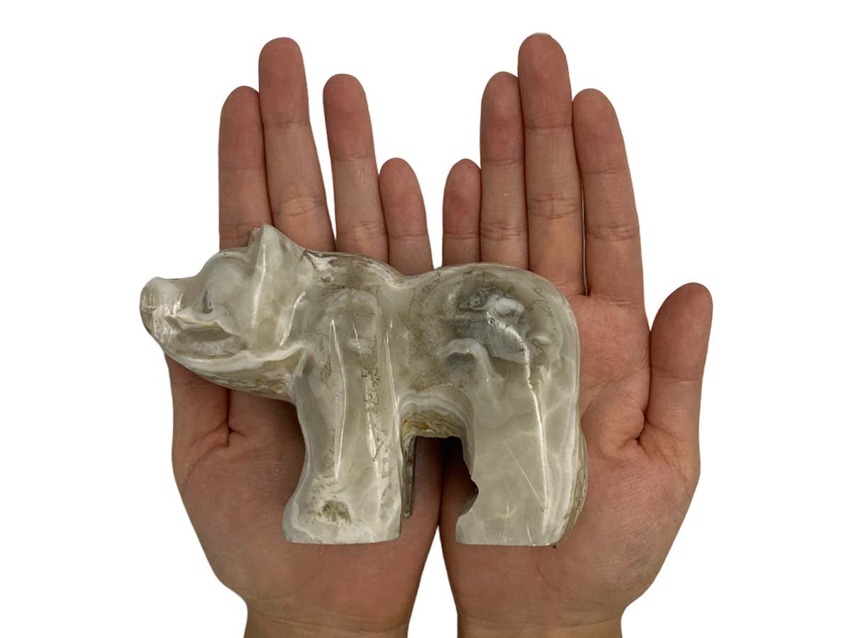 Gray Onyx Grizzly Bear
