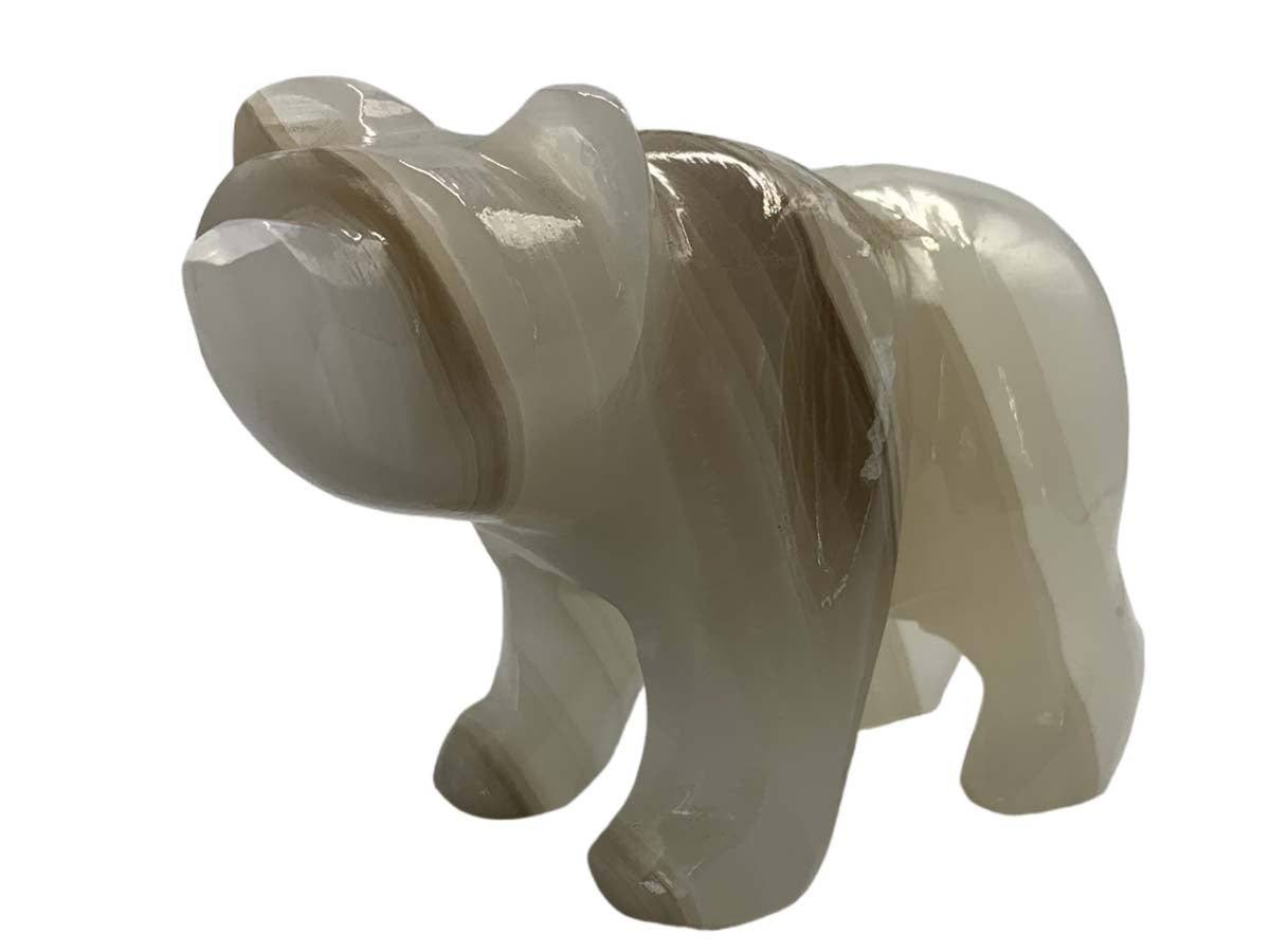 Gray Onyx Grizzly Bear