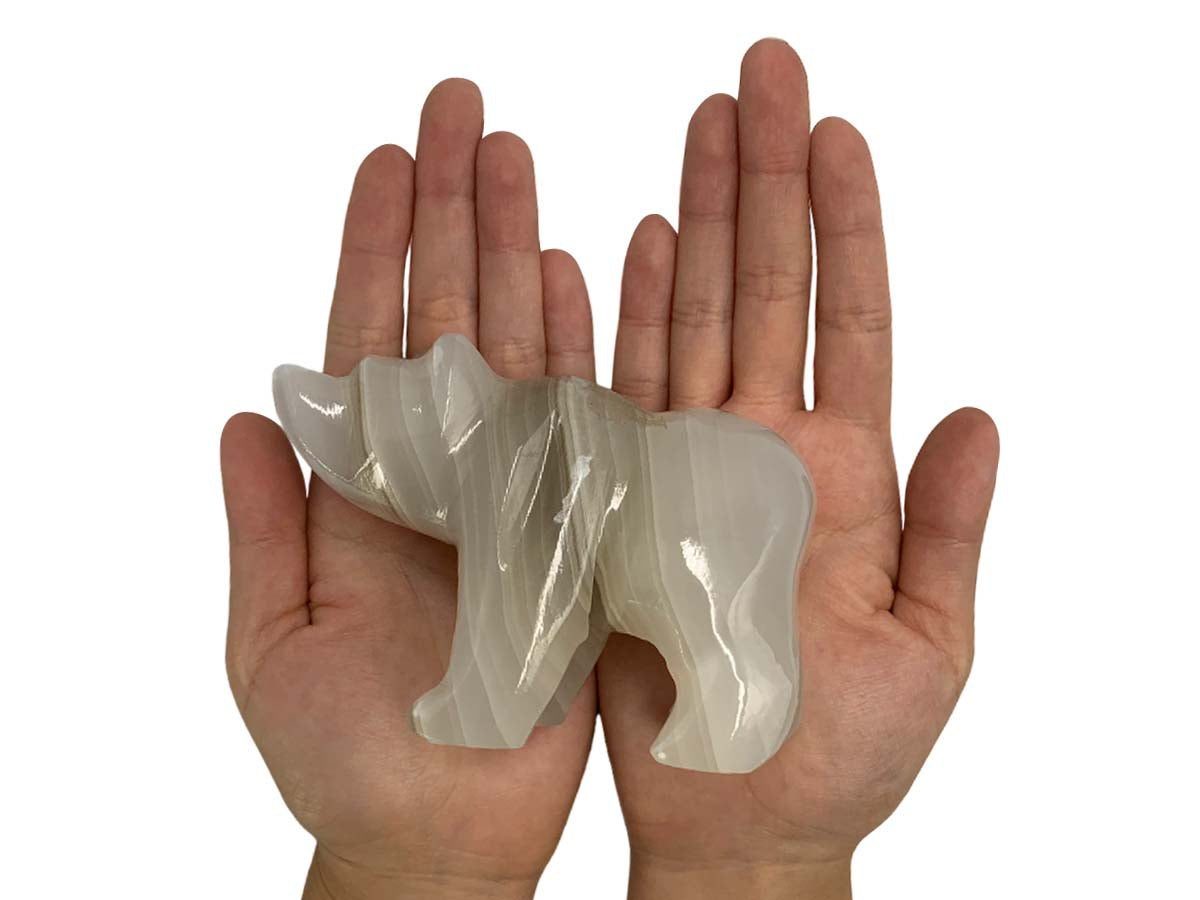 Gray Onyx Grizzly Bear