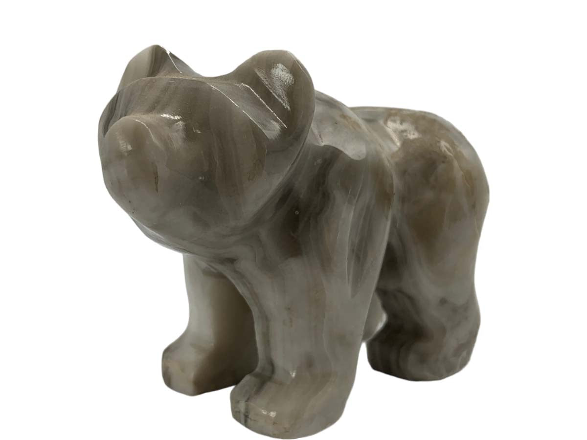 Gray Onyx Grizzly Bear
