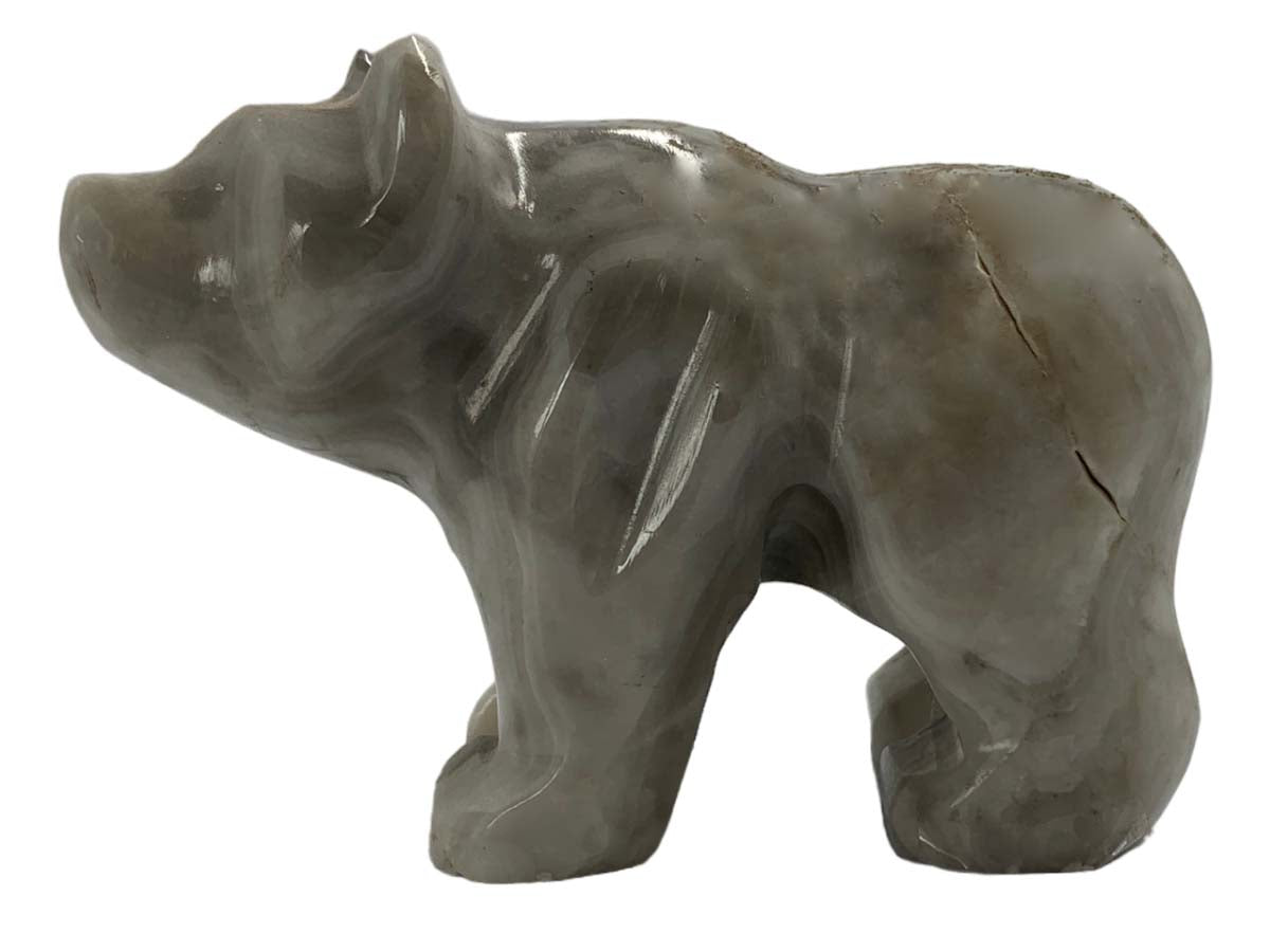 Gray Onyx Grizzly Bear