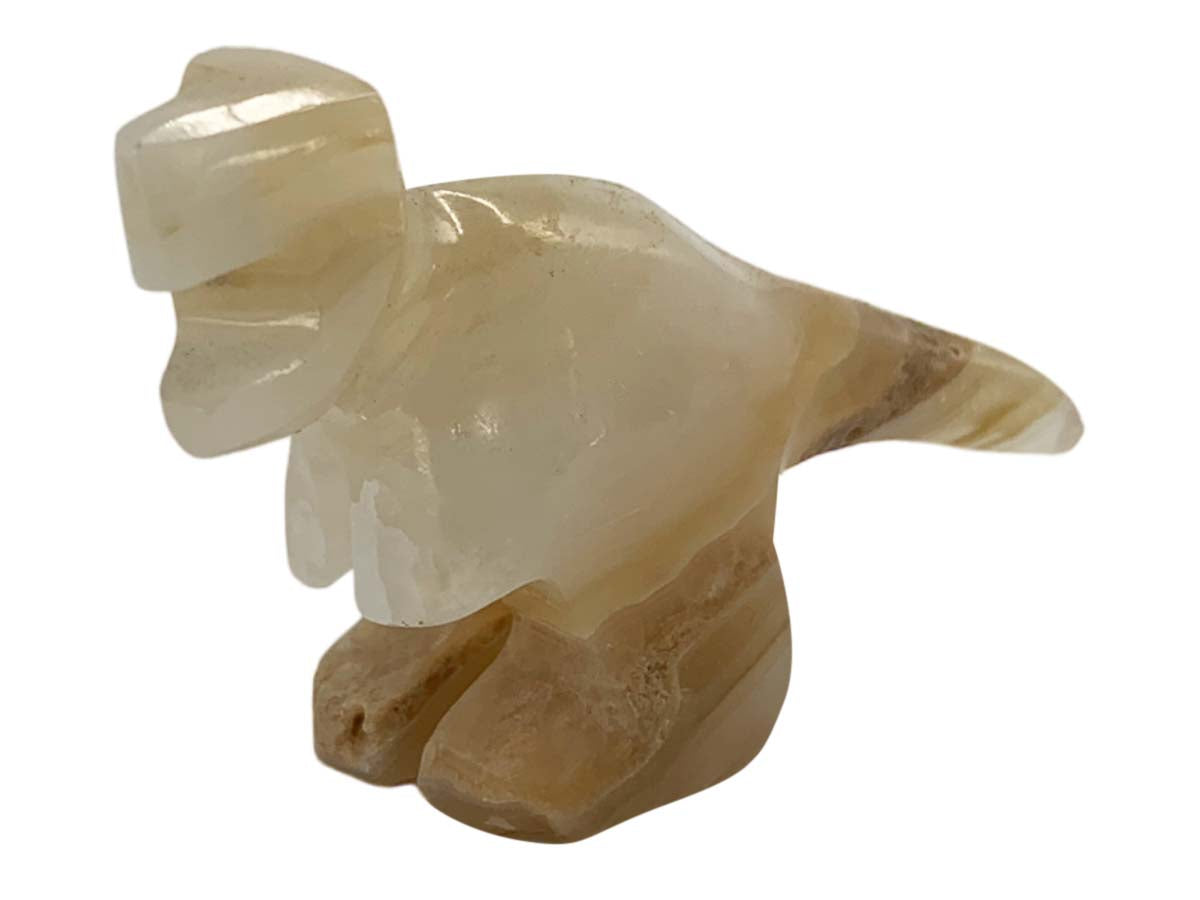 Amber Onyx Tyrannosaurus Rex