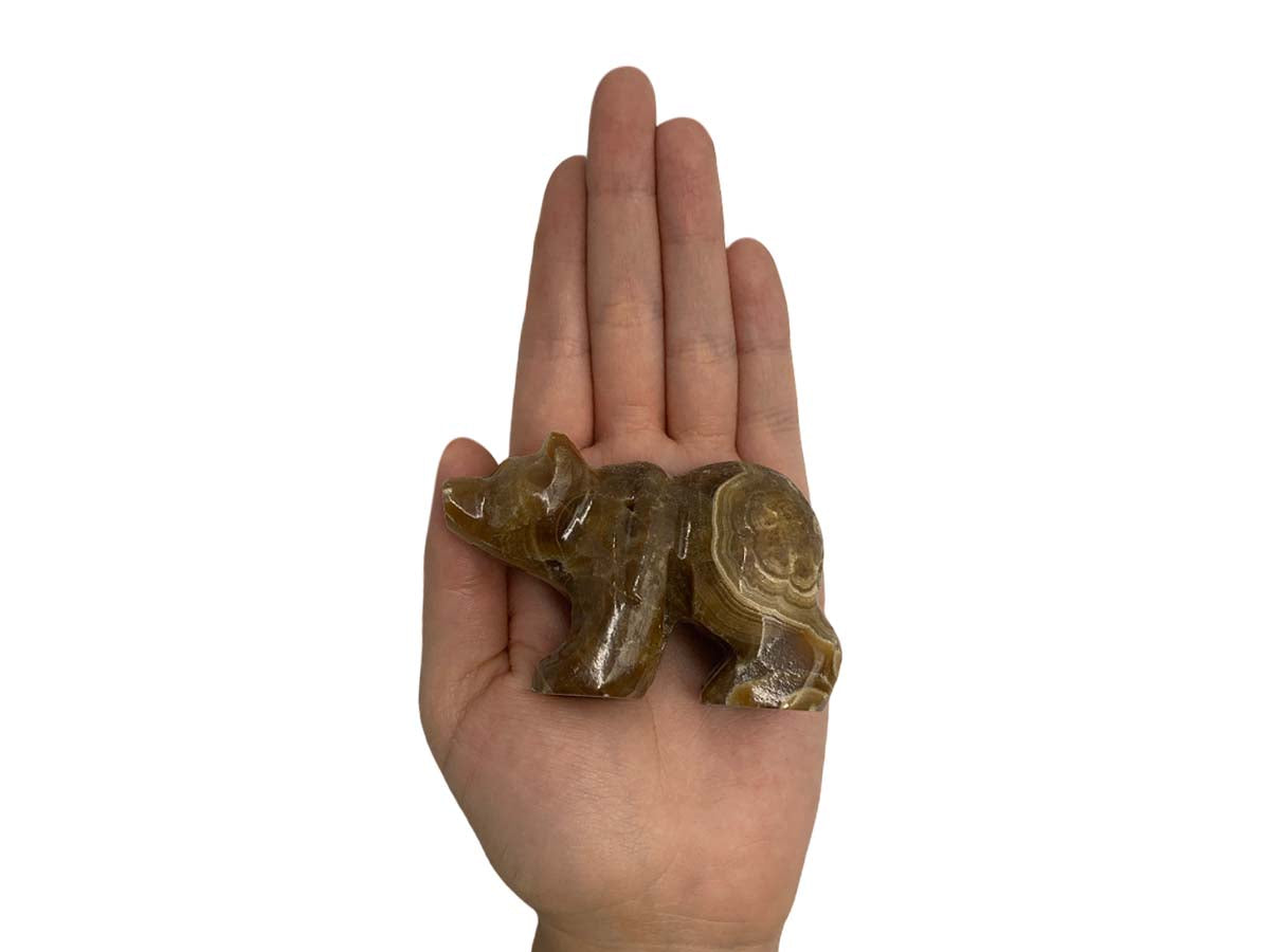 Brown Onyx Grizzly Bear