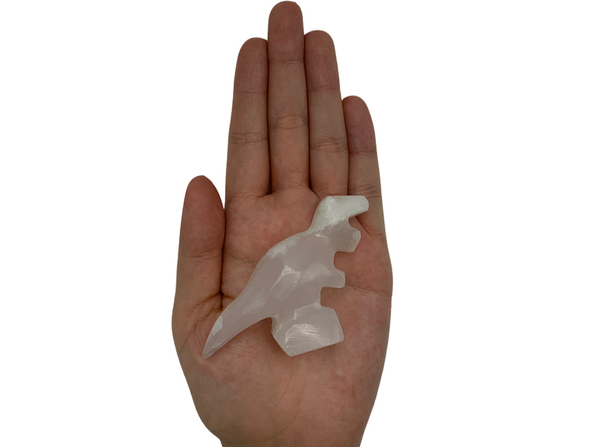 White Onyx Tyrannosaurus Rex