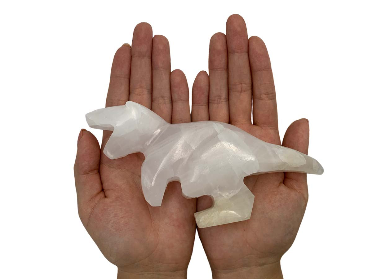 White Onyx Tyrannosaurus Rex