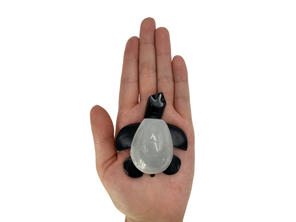 Small Black Onyx Sea Turtle with Shell
