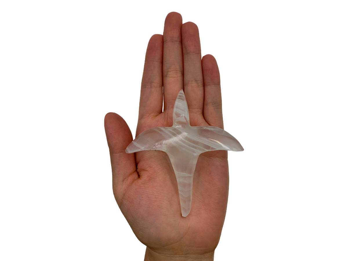 Onyx Pterodactyl