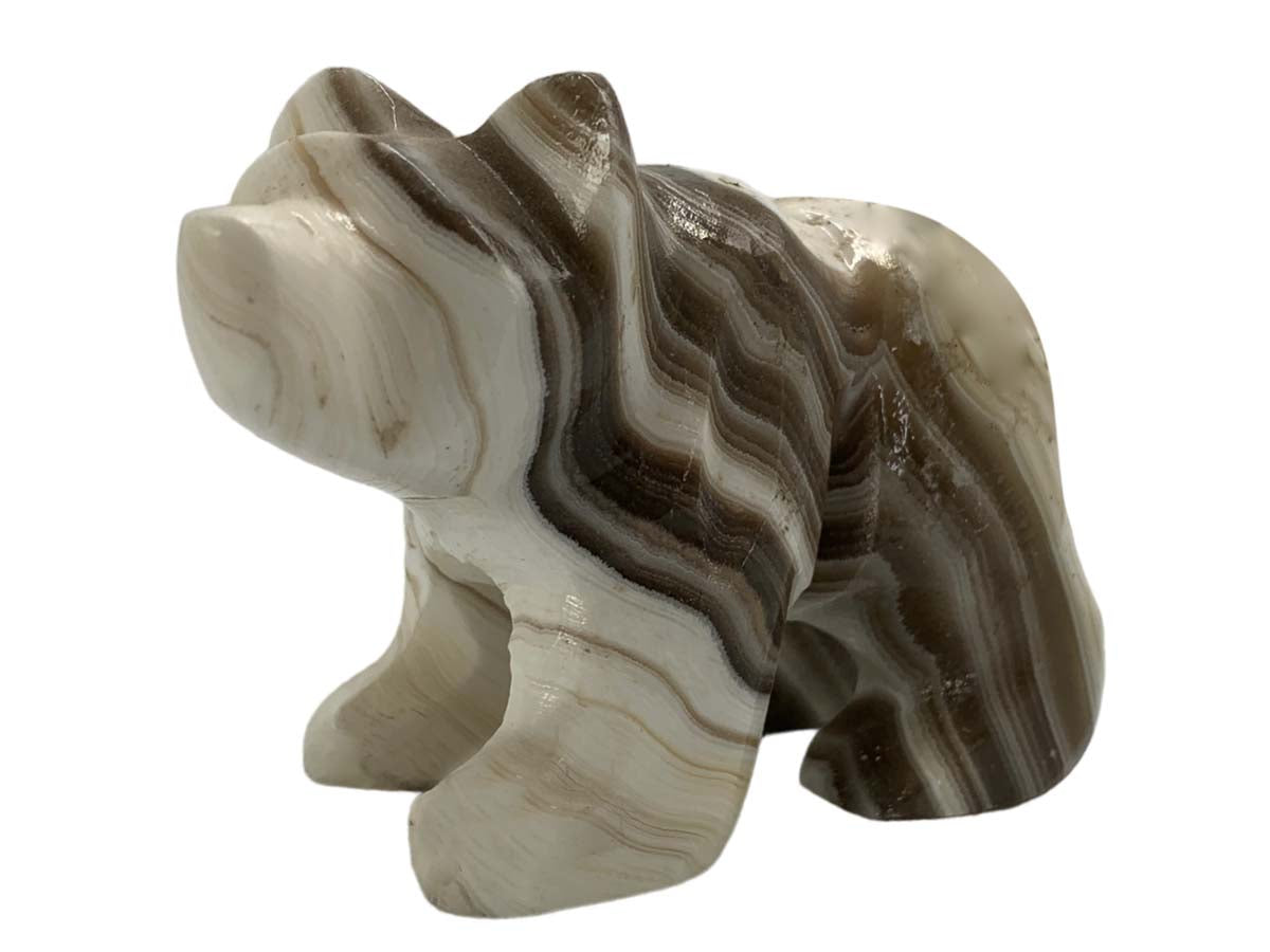 Zebra Onyx Grizzly Bear