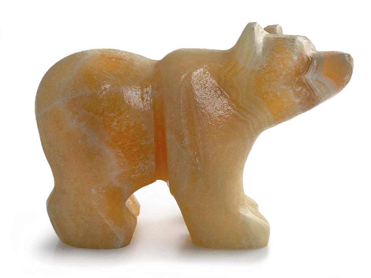 Honey Onyx Grizzly Bear