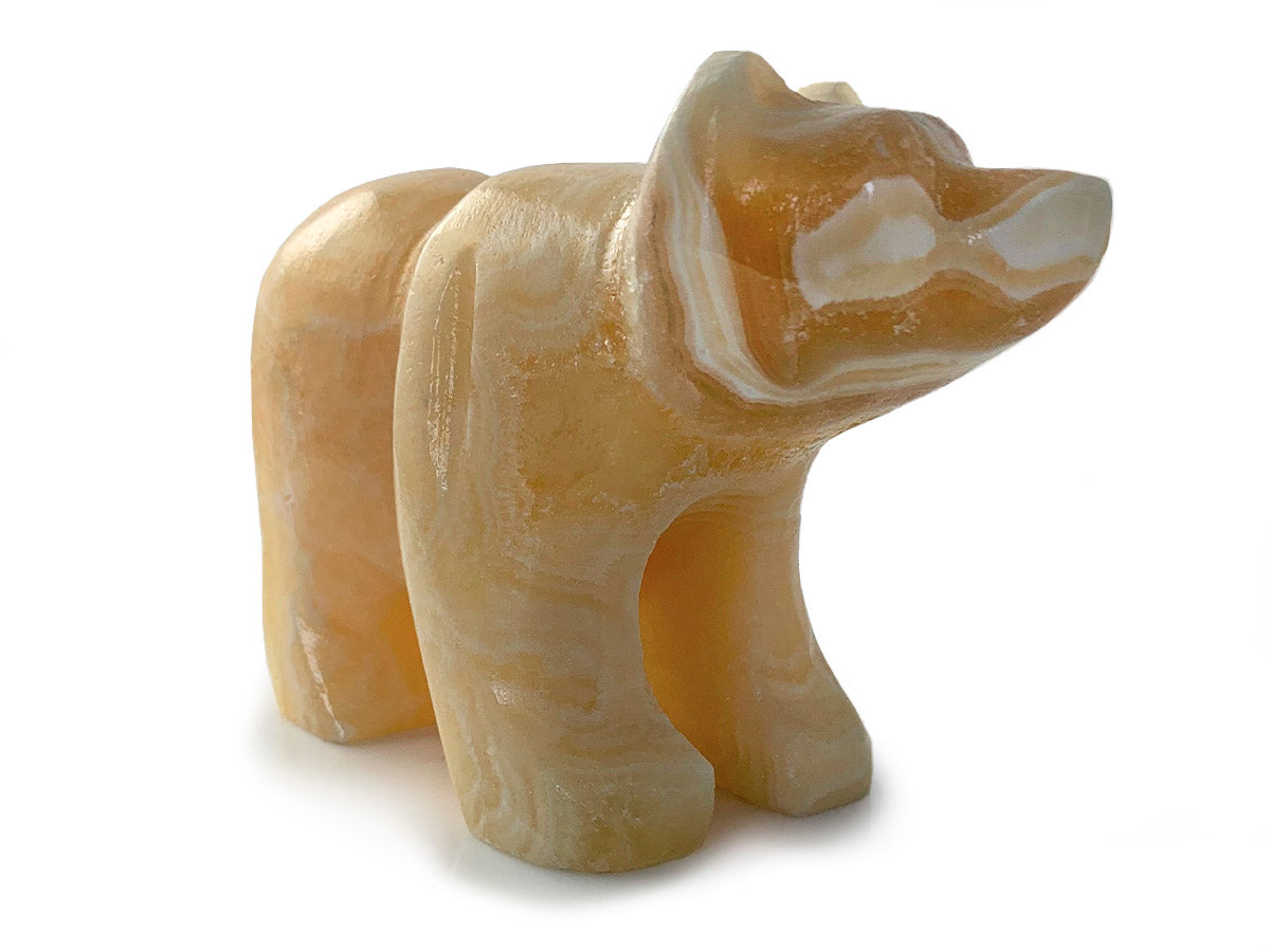 Honey Onyx Grizzly Bear