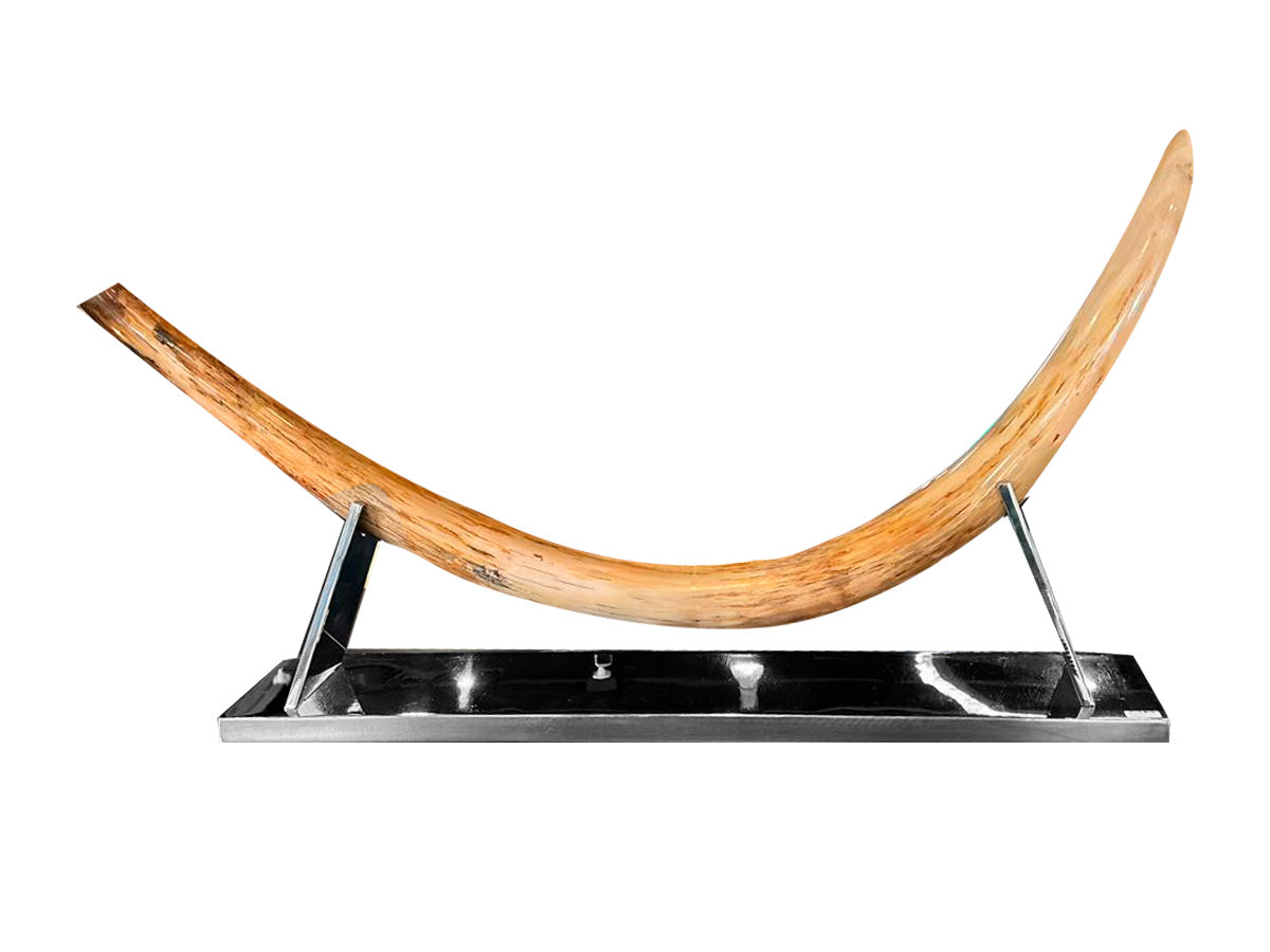 Fossil mammoth tusk Stainless steel base