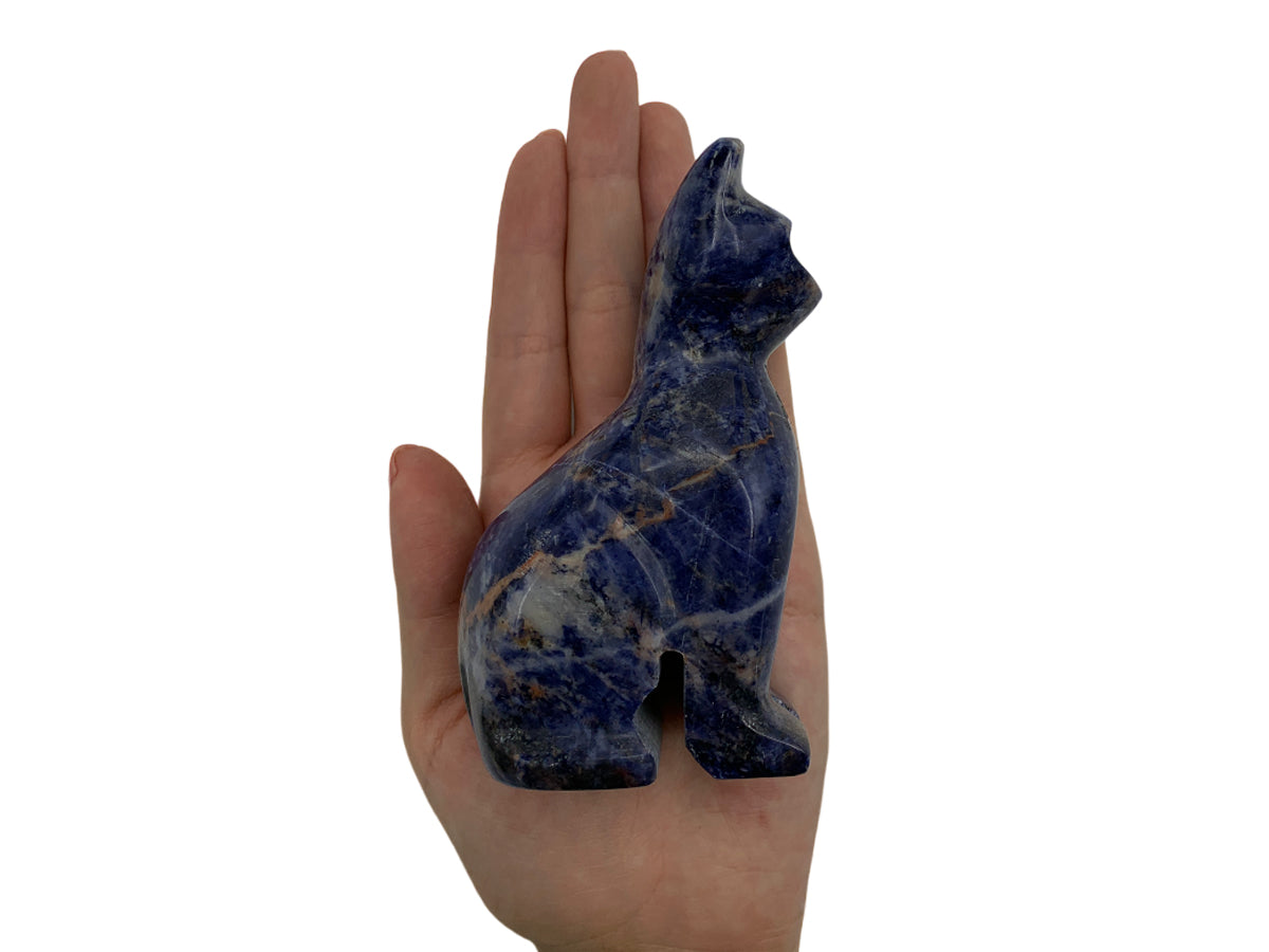 Sodalite Cat