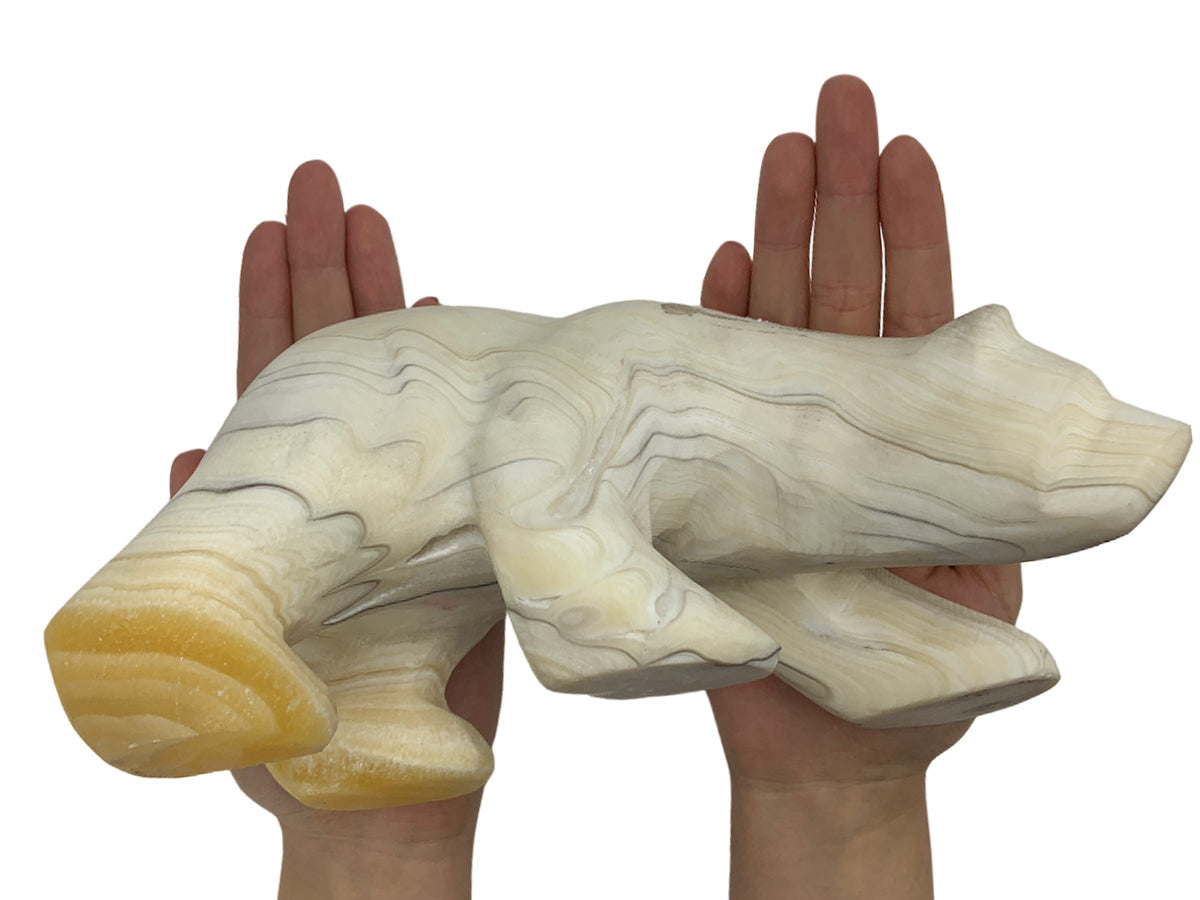 Zebra Onyx Polar Bear