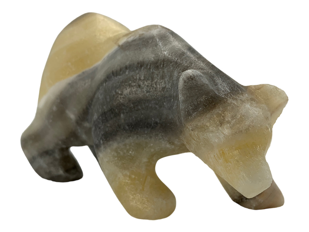 Zebra Onyx Polar Bear