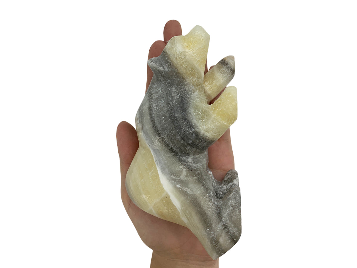 Zebra Onyx Polar Bear