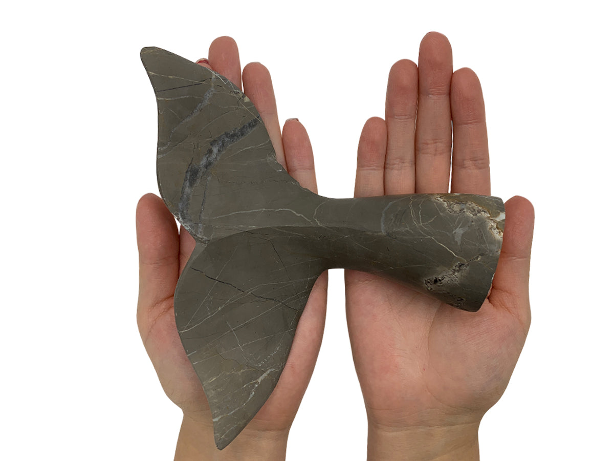 Marble Whale Tail