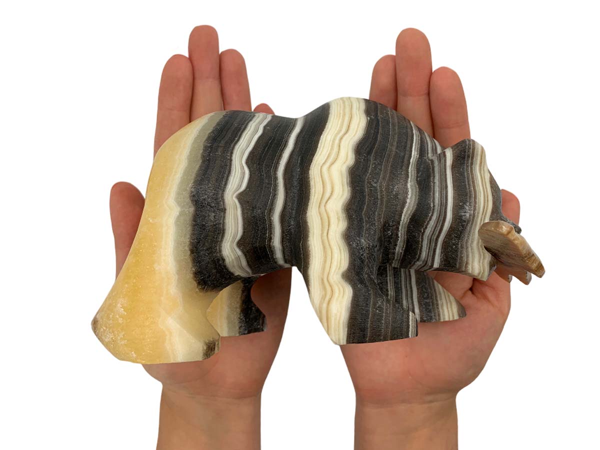 Zebra Onyx Grizzly Bear With FIsh