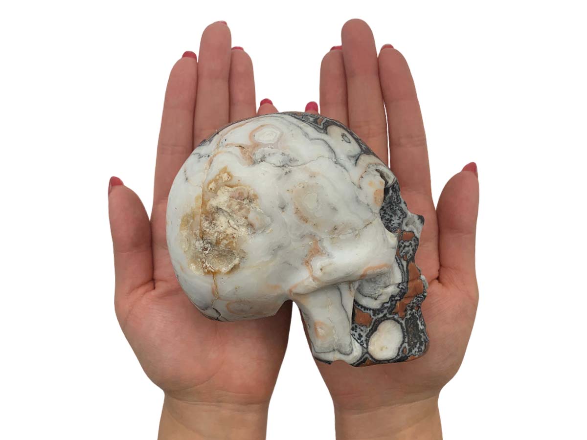 Zebra Calcite Skull