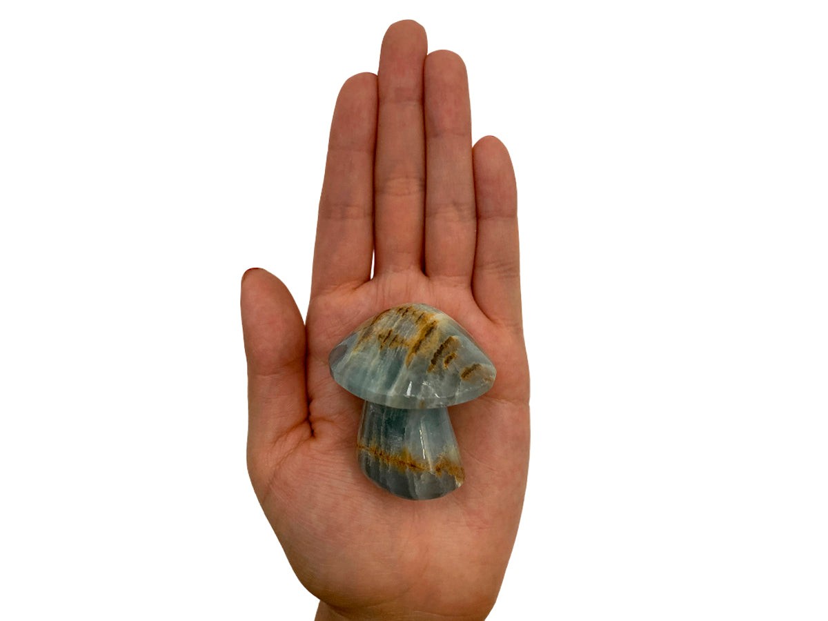 Blue Onyx Irregular Mushroom