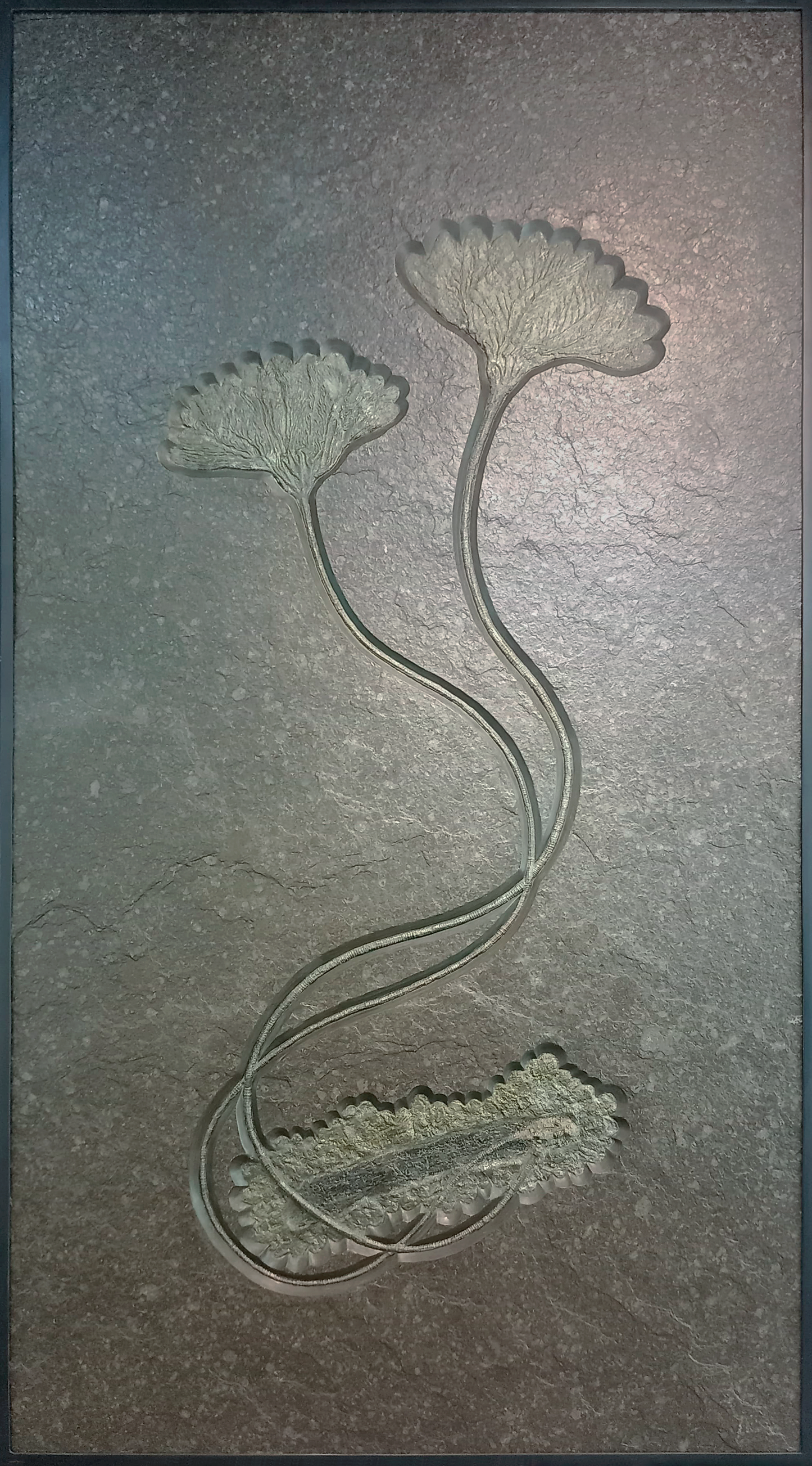 Fossil crinoid plate 63x33.5 in.