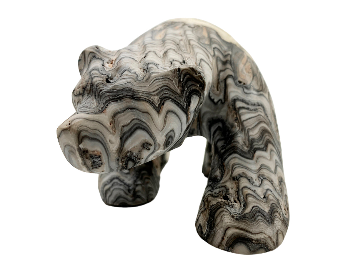 Gray Onyx Zebra Polar Bear