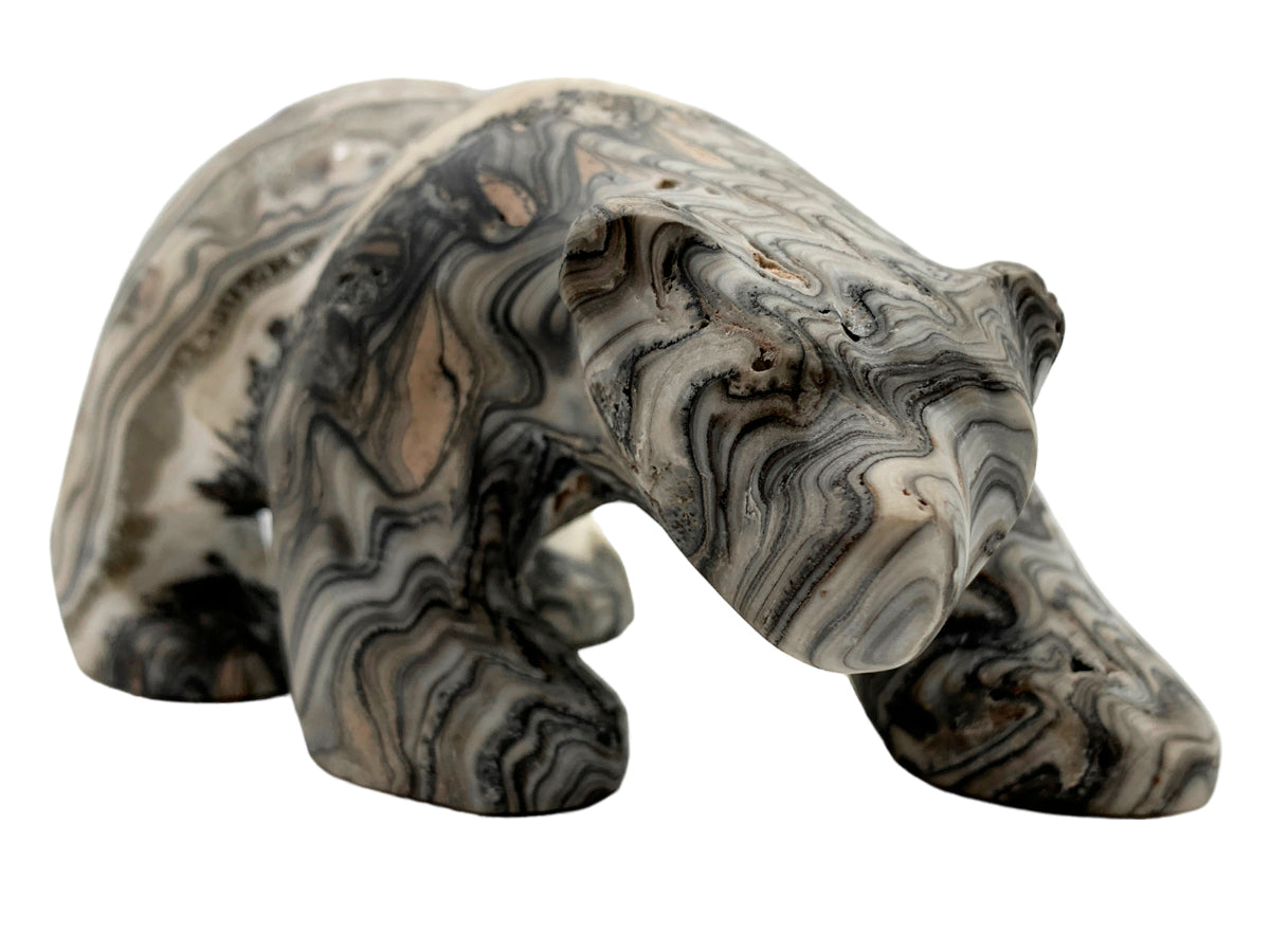 Gray Onyx Zebra Polar Bear