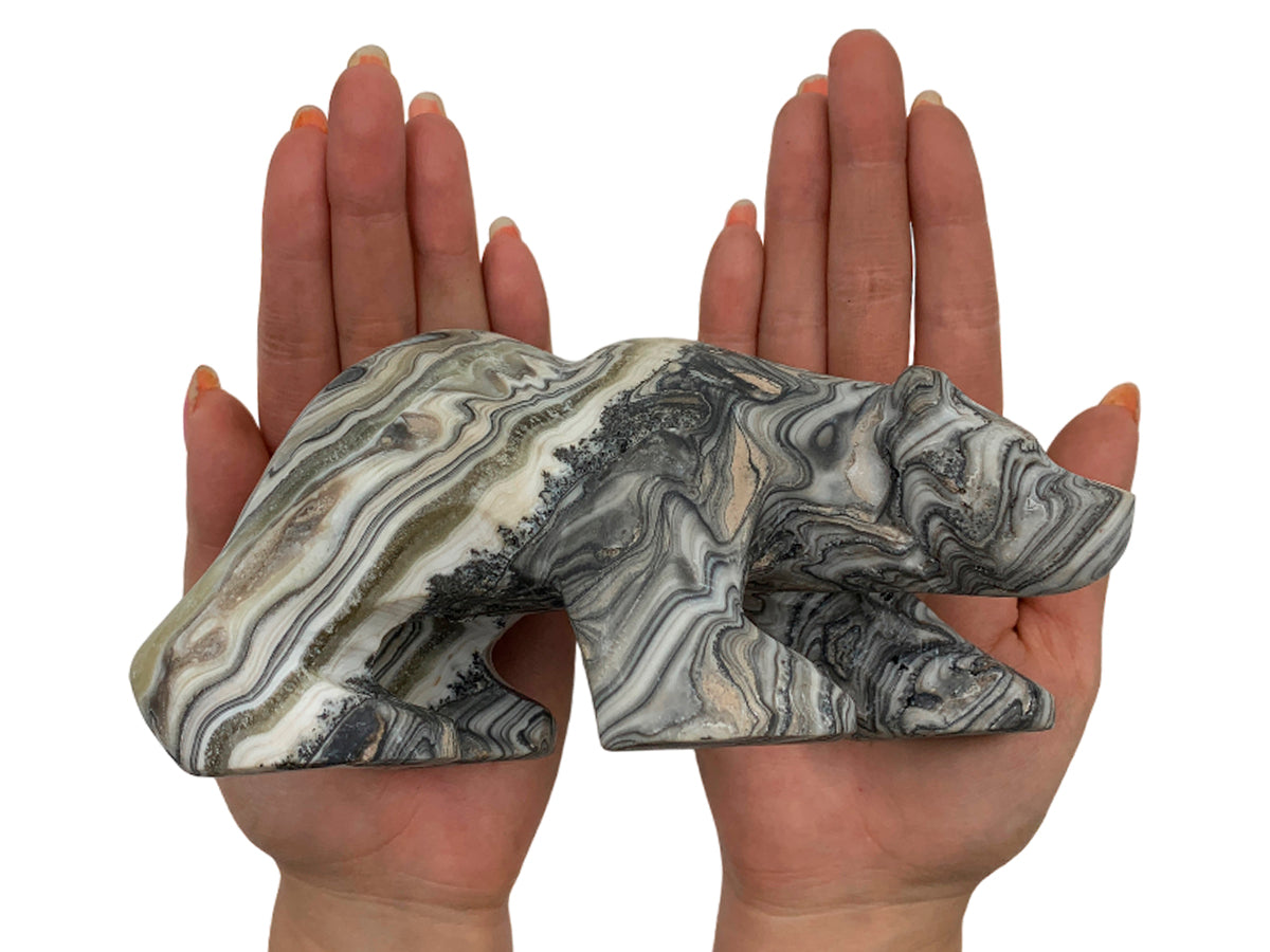 Gray Onyx Zebra Polar Bear