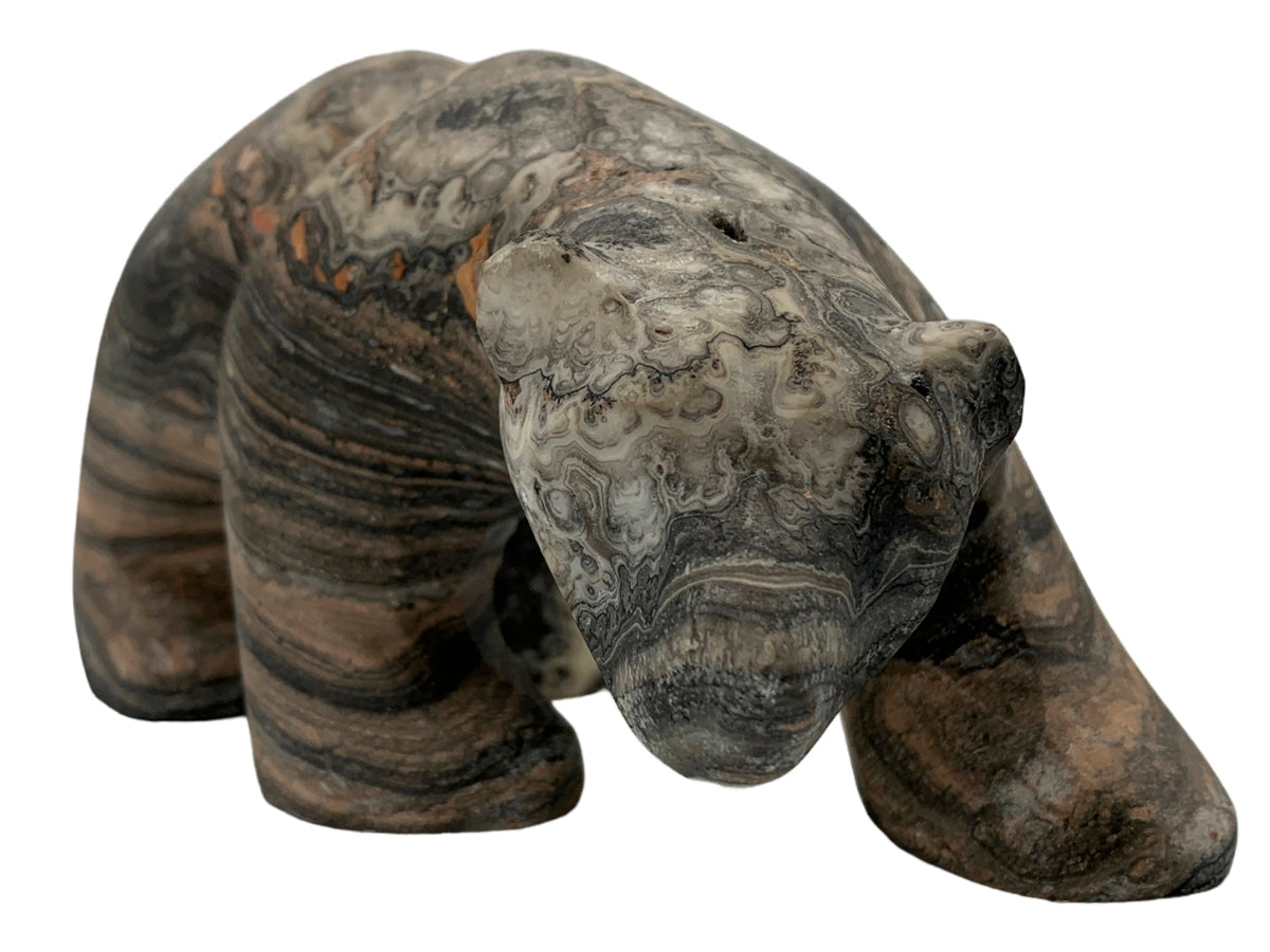 Gray Onyx Zebra Polar Bear