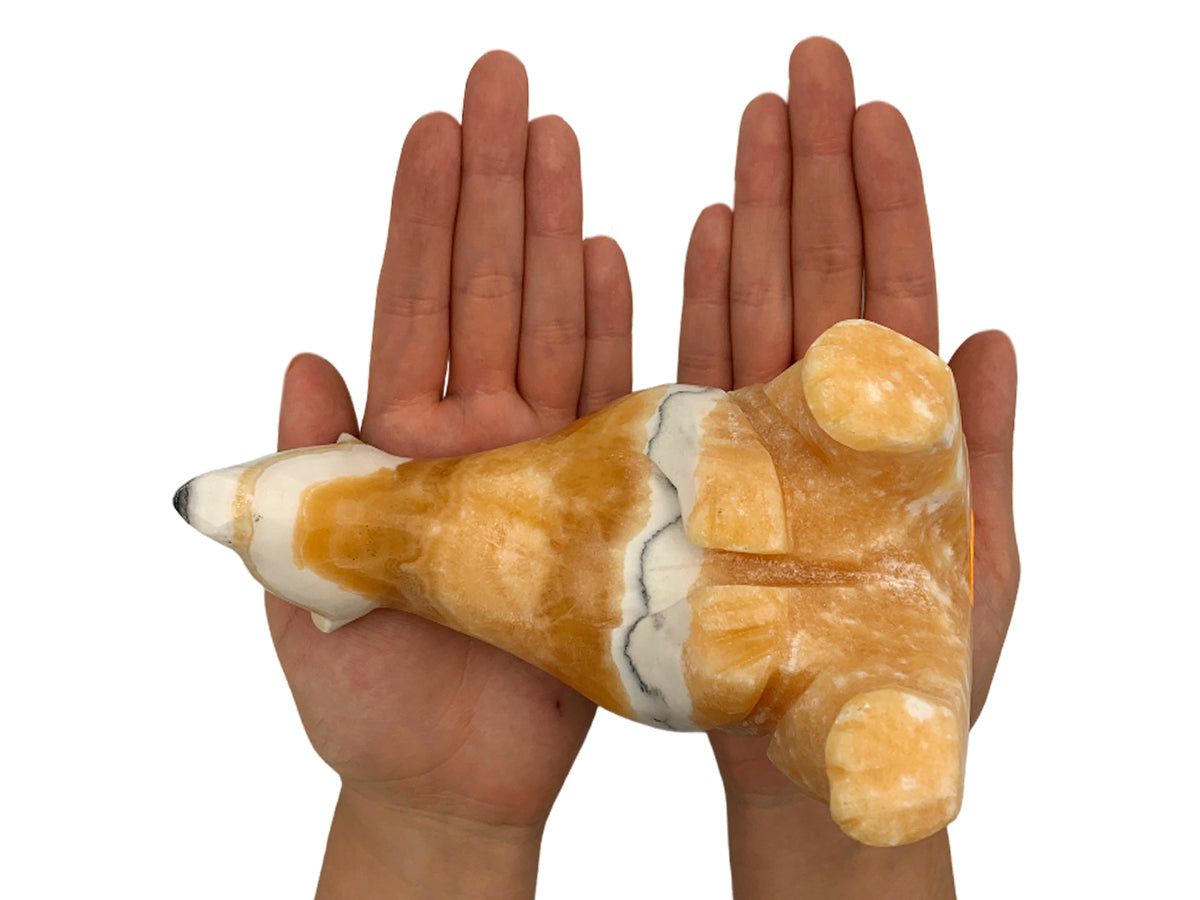 Zebra Calcite Sitting Polar Bear