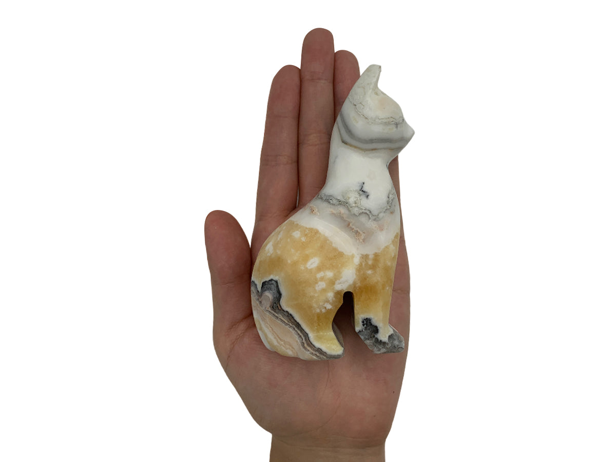 Zebra Calcite Cat