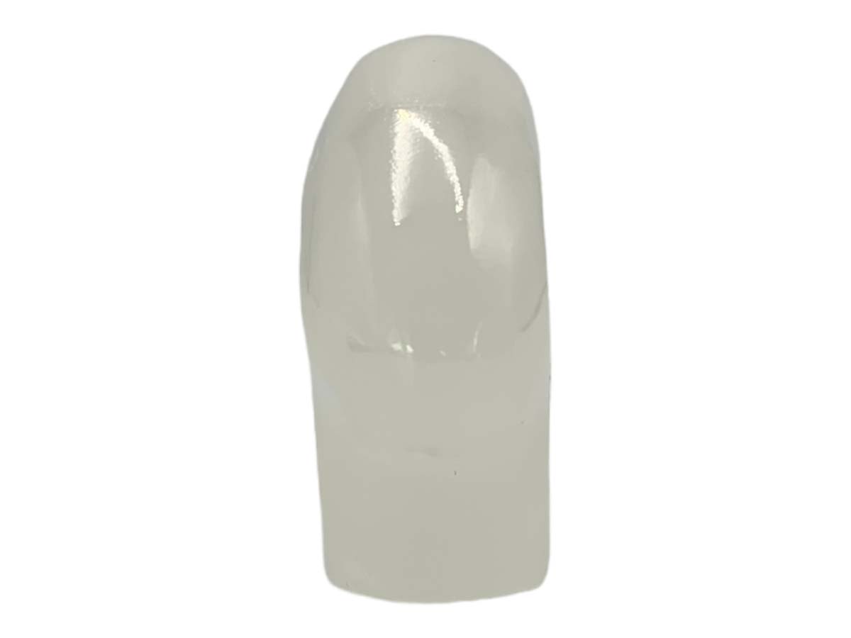 Flat Onyx Polar Bear