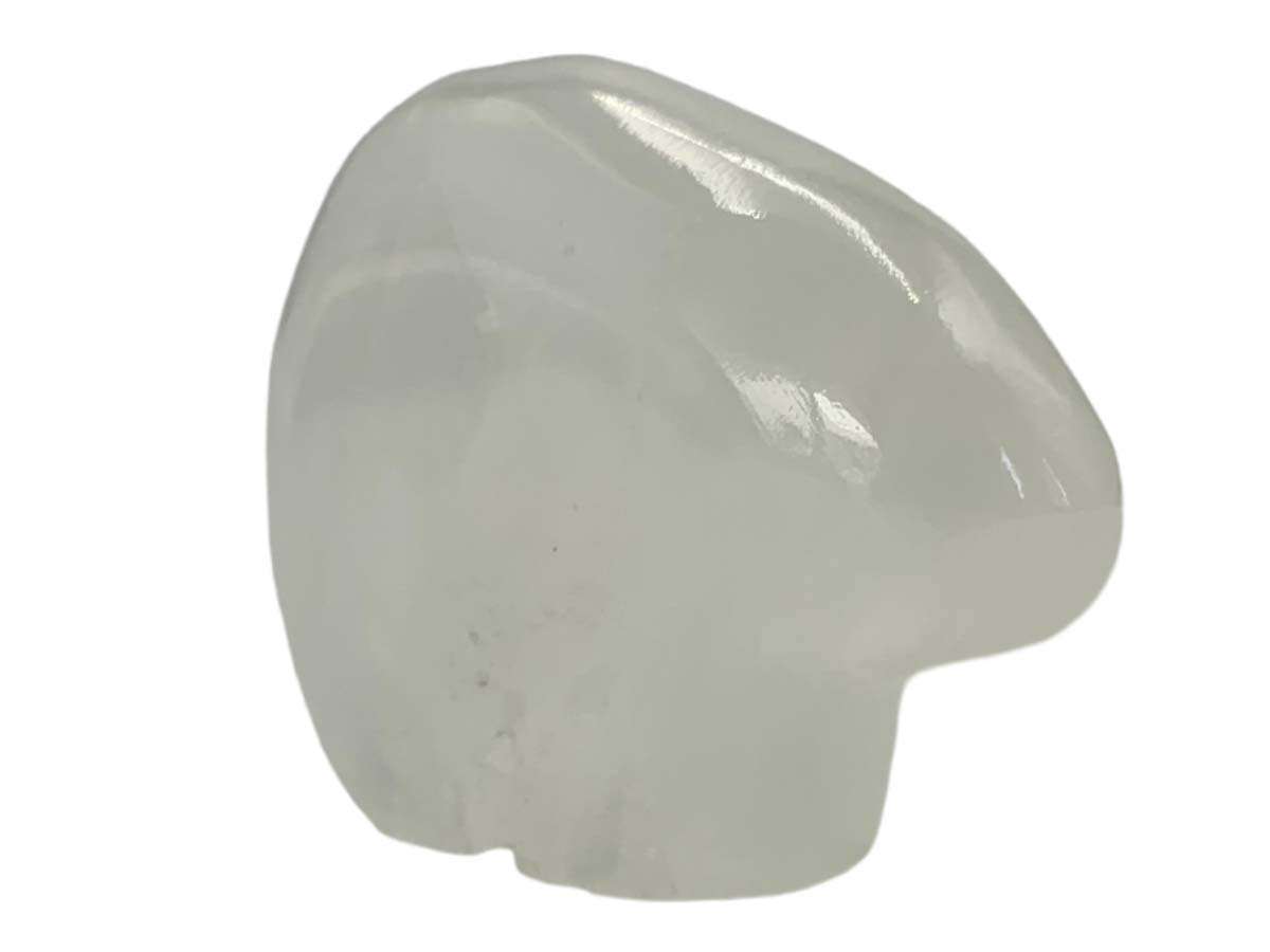 Flat Onyx Polar Bear