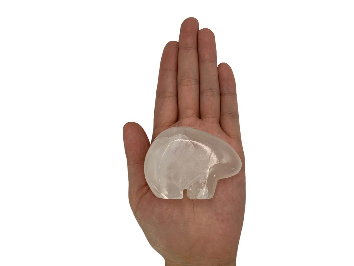 Flat Onyx Polar Bear