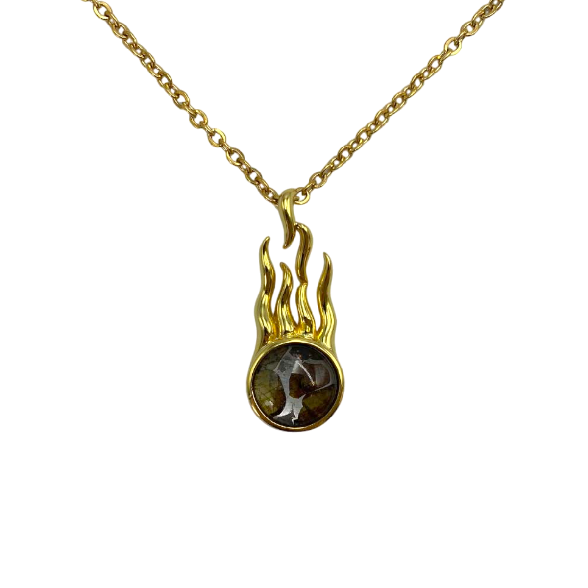 Flame-shaped Sericho Pallasite meteorite pendant necklace with silver