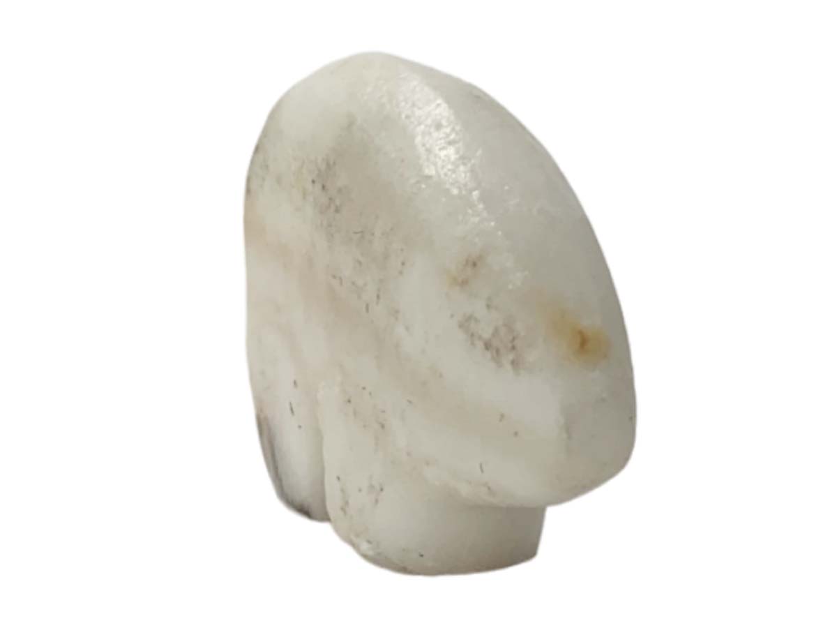 Zebra Calcite Flat Polar Bear