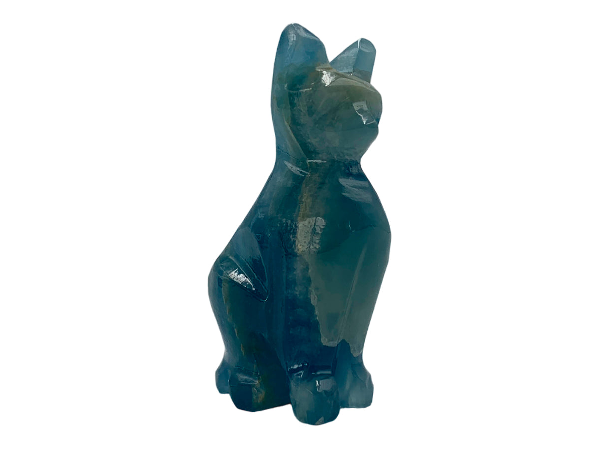 Blue Onyx Cat