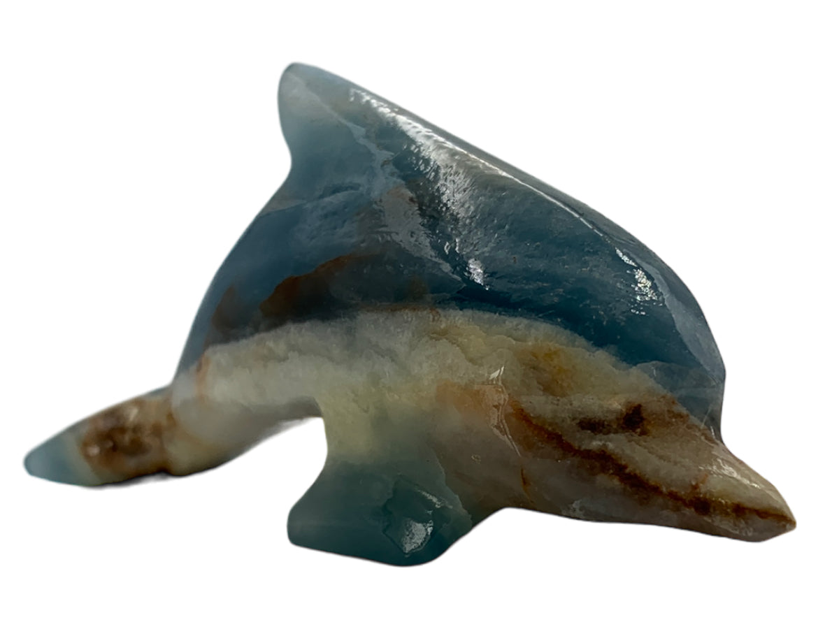 Blue Onyx Dolphin