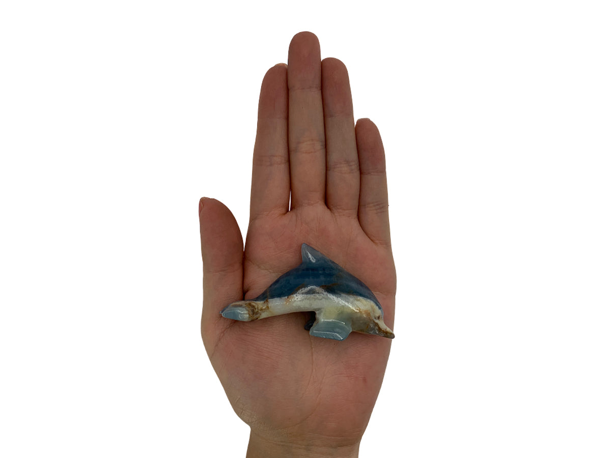 Blue Onyx Dolphin