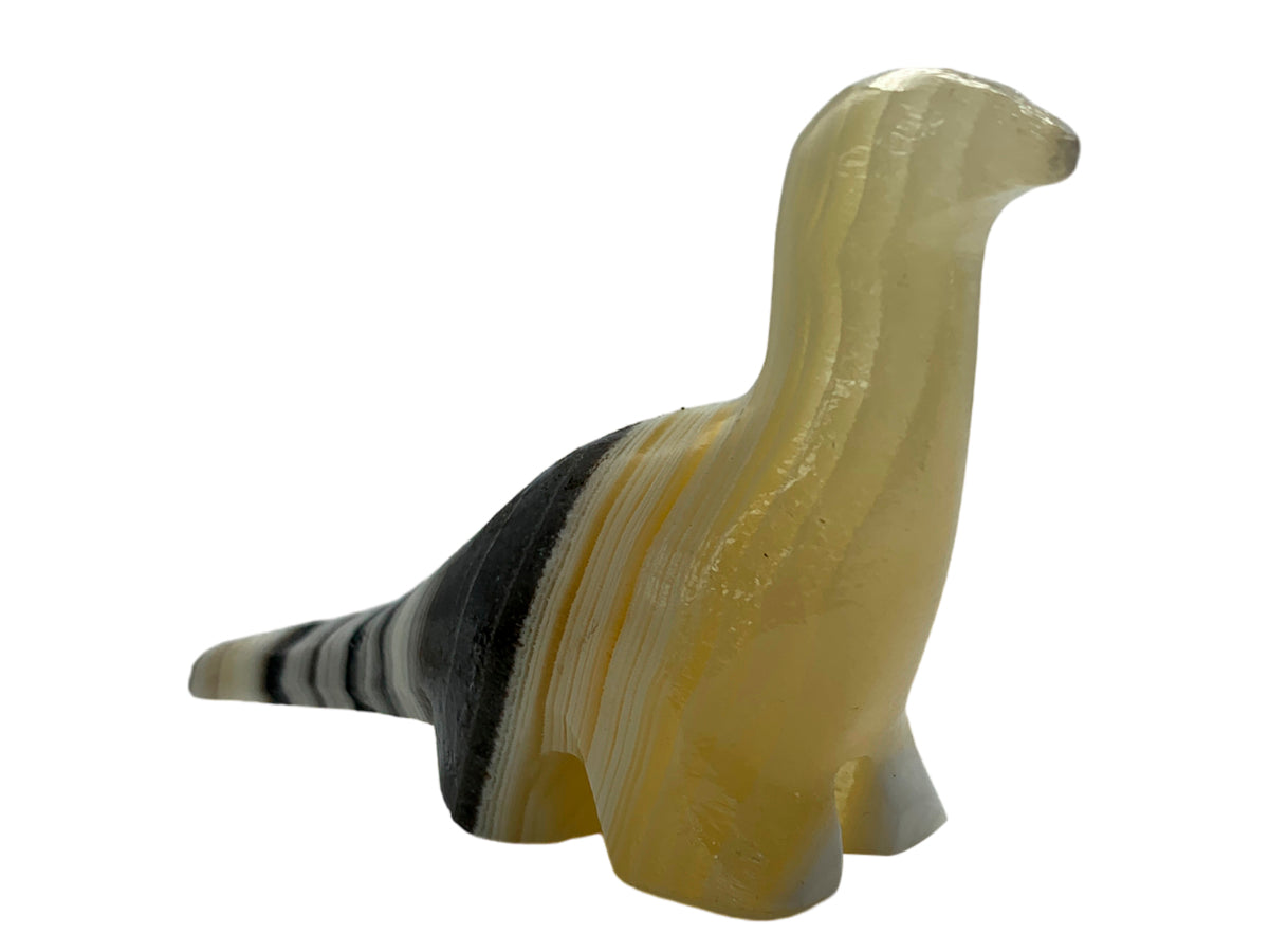 Zebra Onyx Apatosaurus