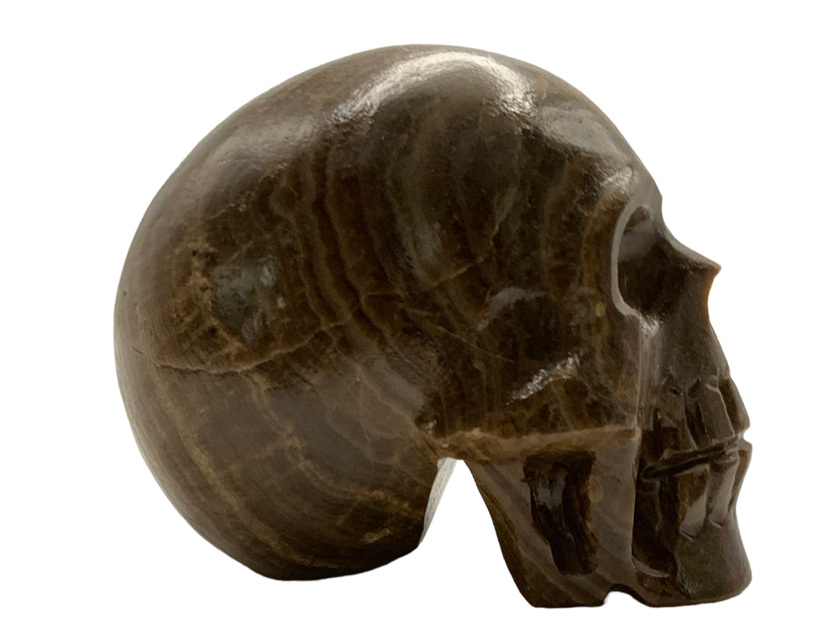 Brown Onyx Skull