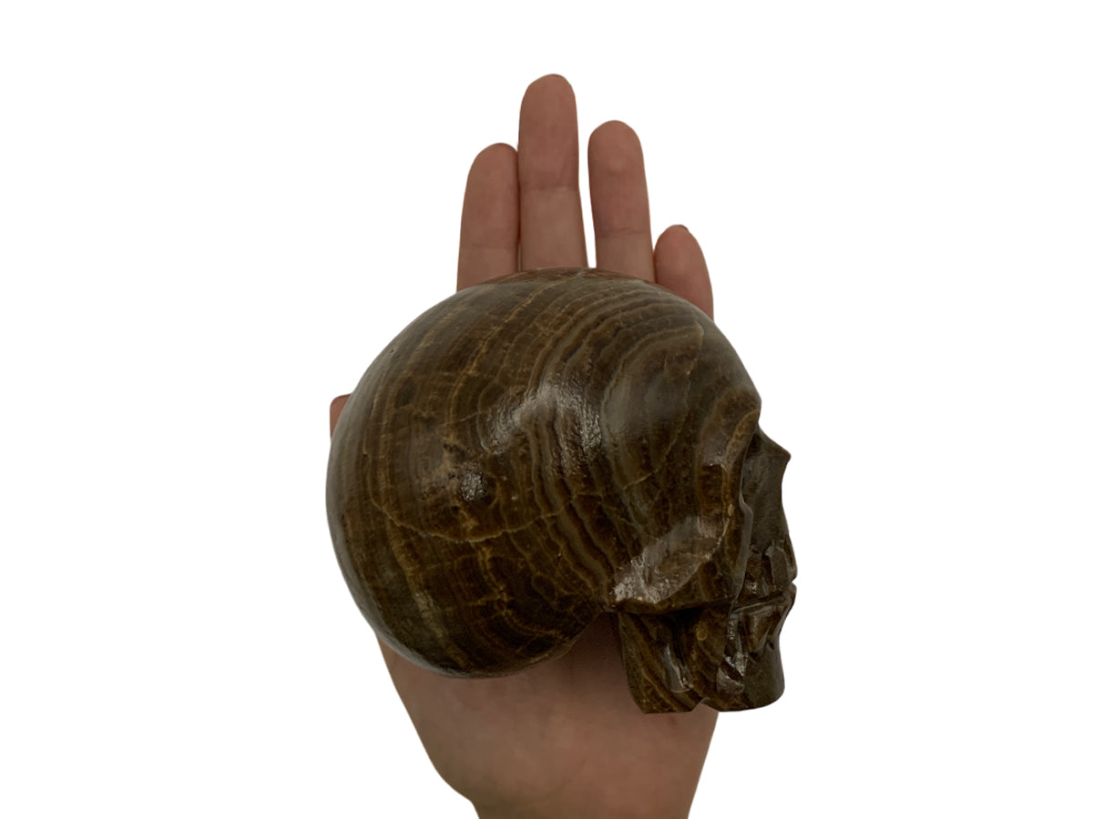 Brown Onyx Skull