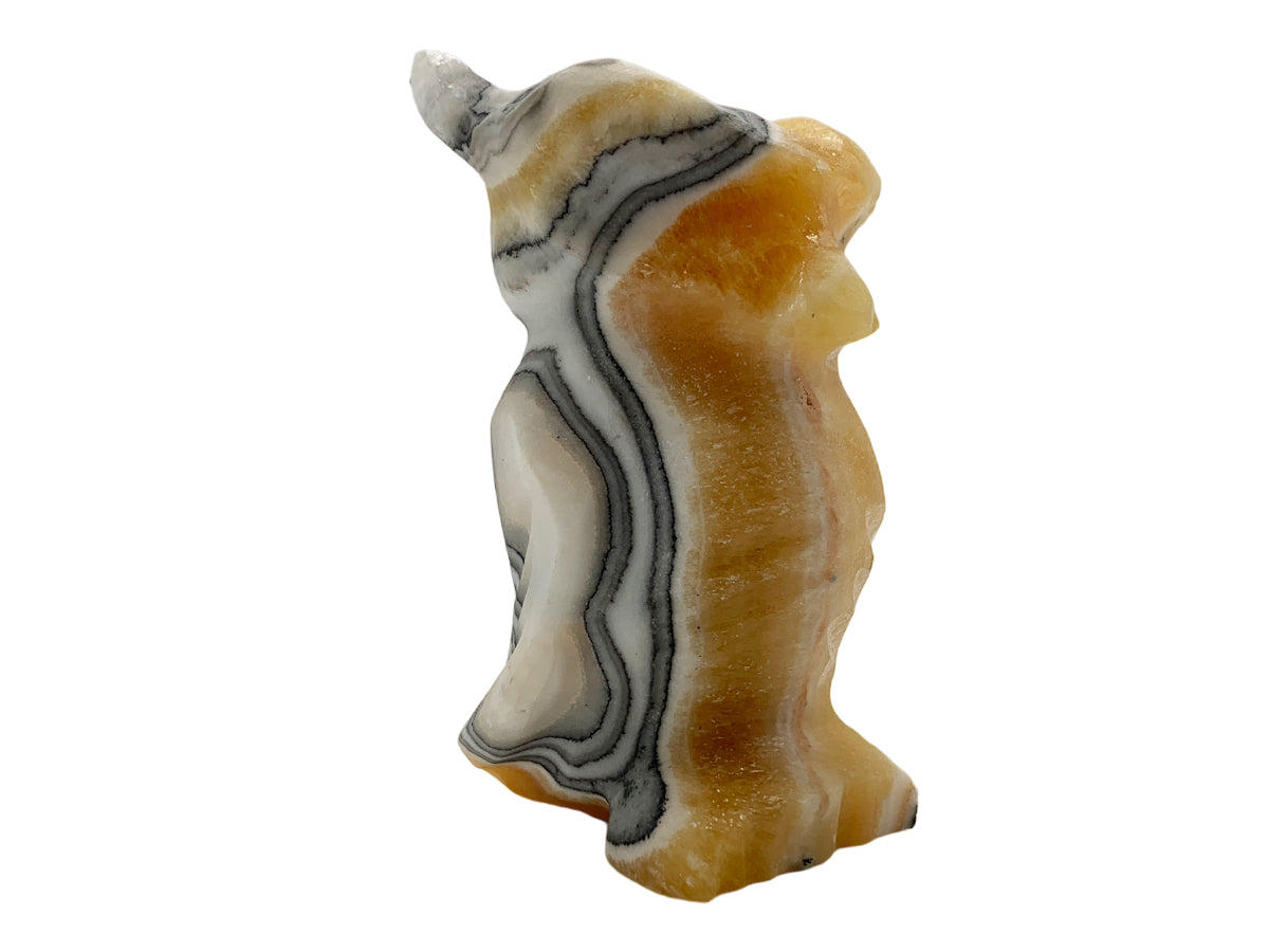 Zebra Calcite Owl