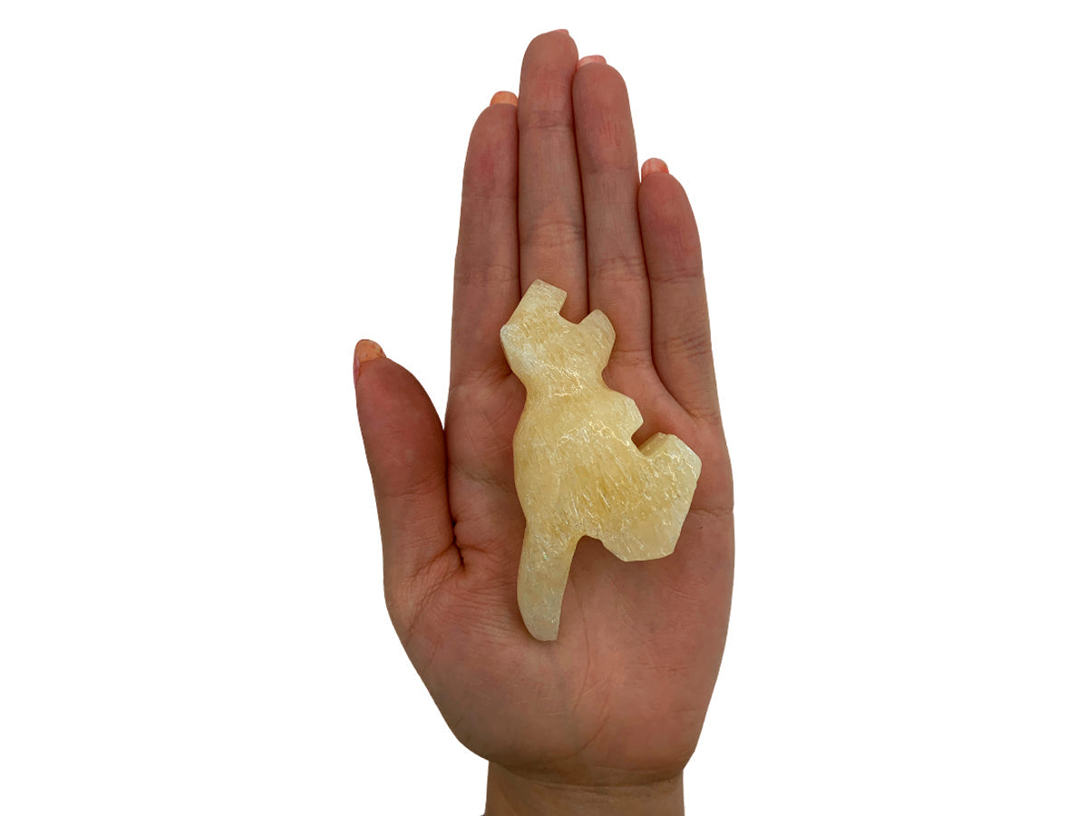 Honey Onyx Tyrannosaurus Rex