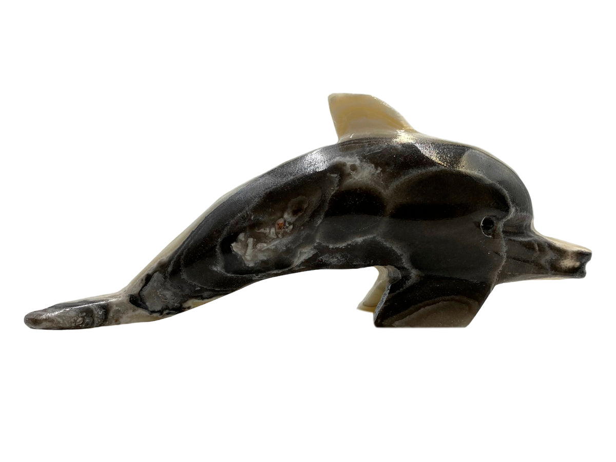 Zebra Onyx Dolphin