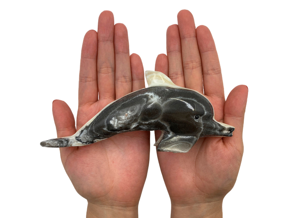 Zebra Onyx Dolphin