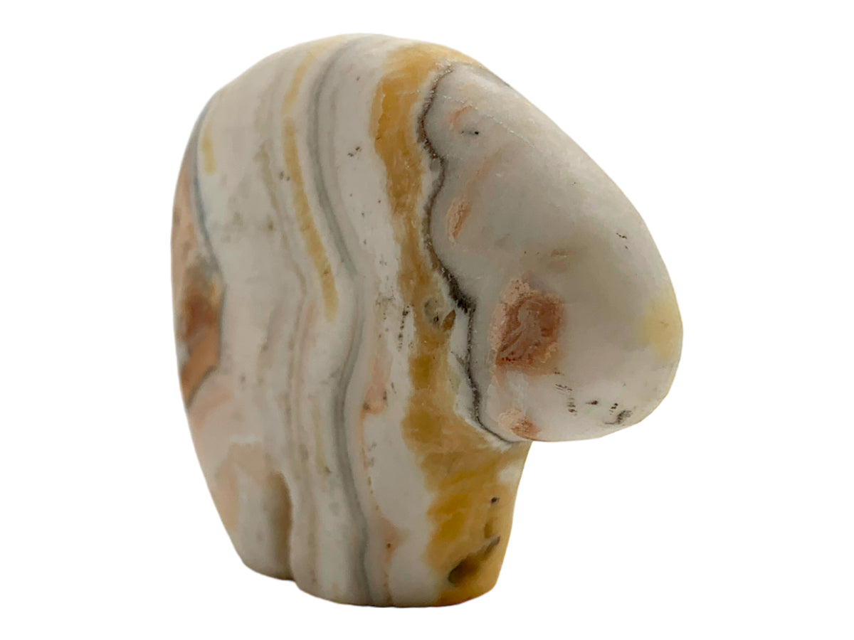 Zebra Calcite Flat Polar Bear