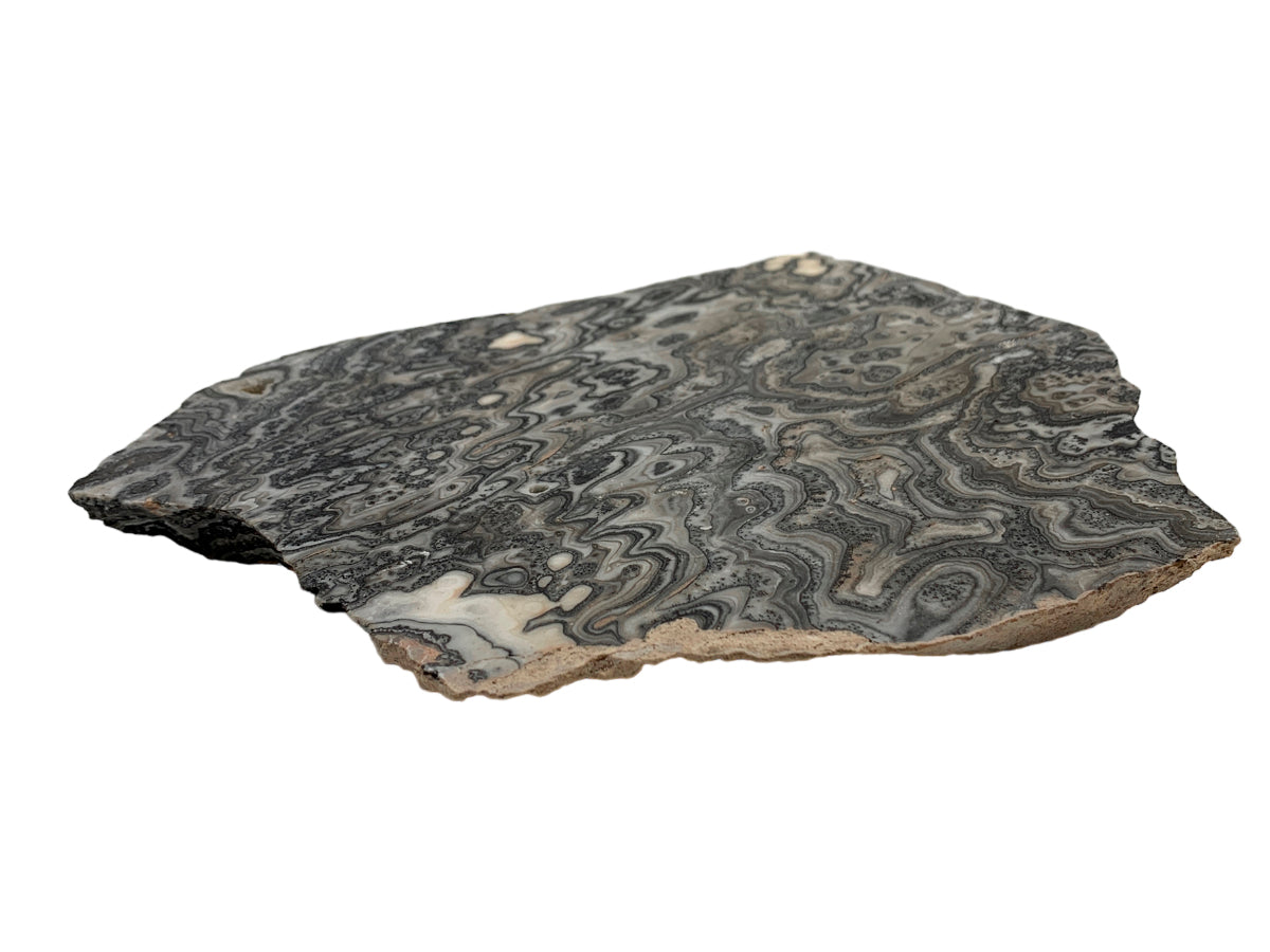 Gray Zebra Onyx Irregular Slice By Kilo