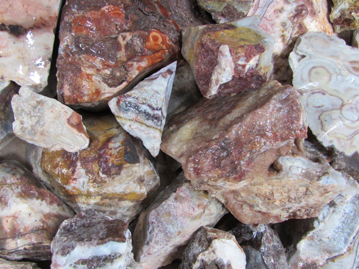 Crazy Lace Agate (Rough)