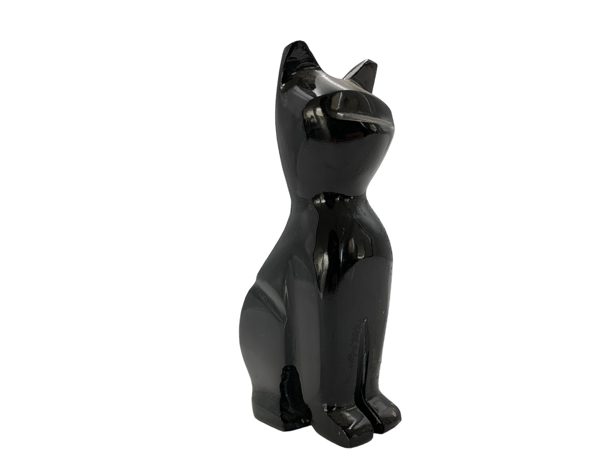 Black Onyx Cat